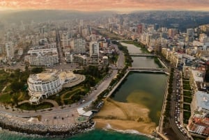 Viña del Mar: Guidad stadsrundtur