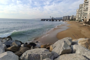 Viña del Mar : visite guidée de la ville