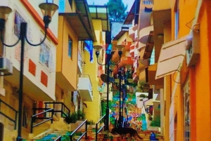 Viña del Mar + Valparaíso