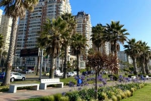 Viña del Mar + Valparaíso