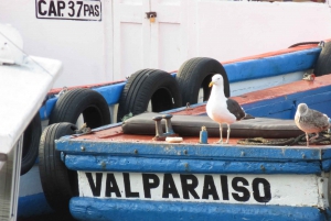 Private Group Valparaíso, Viña del Mar & Vineyard