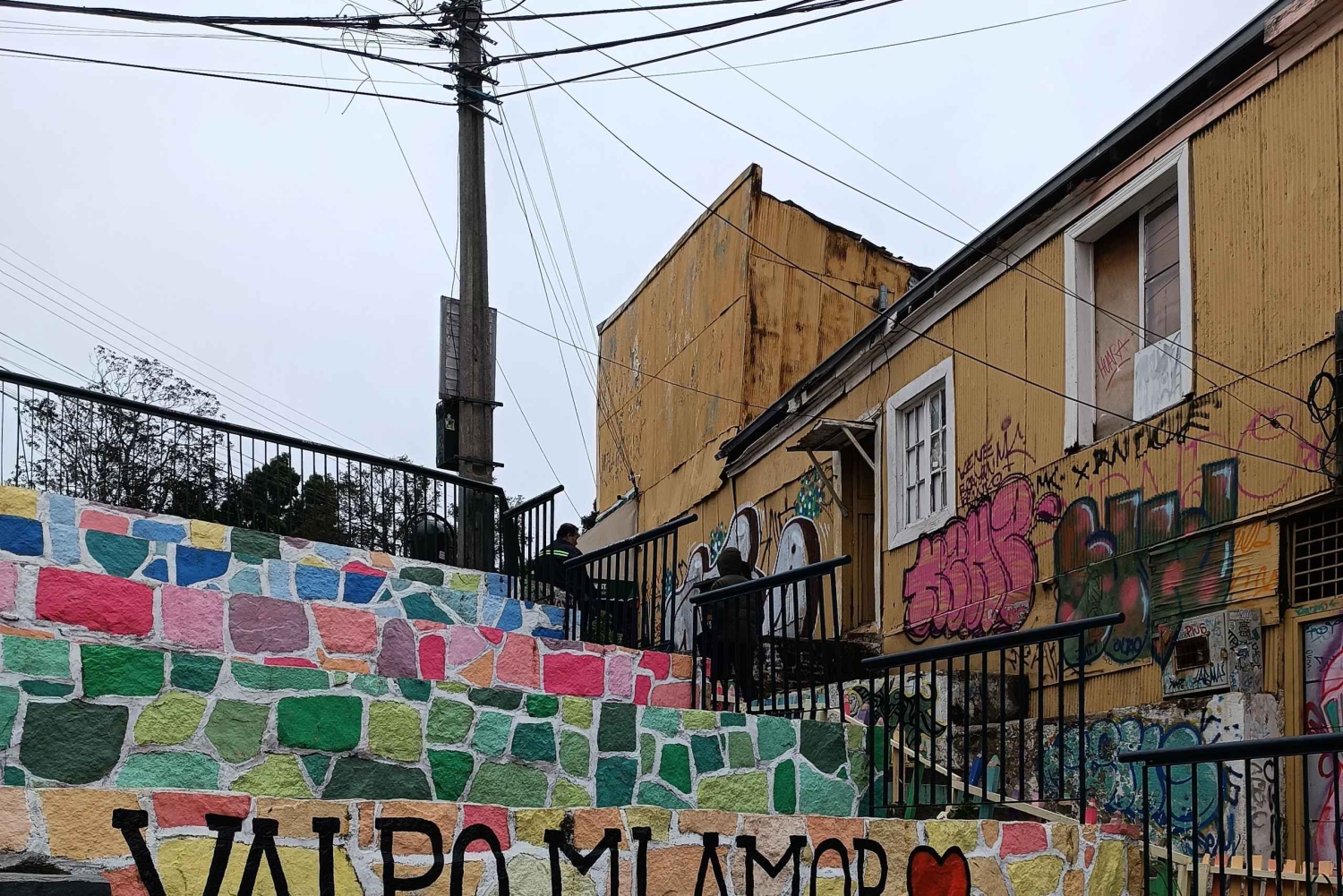 Viña del Mar y Valparaíso - Hele dag