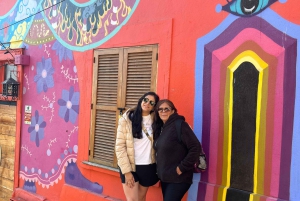 Viña del Mar y Valparaíso - Hele dag