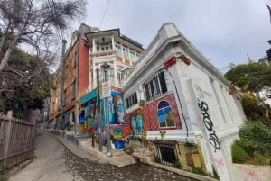 Viña del Mar y Valparaíso - Hele dag