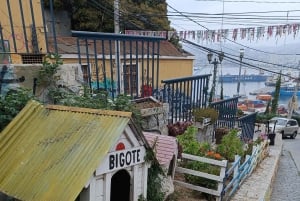 Viña del Mar y Valparaíso - Hele dag