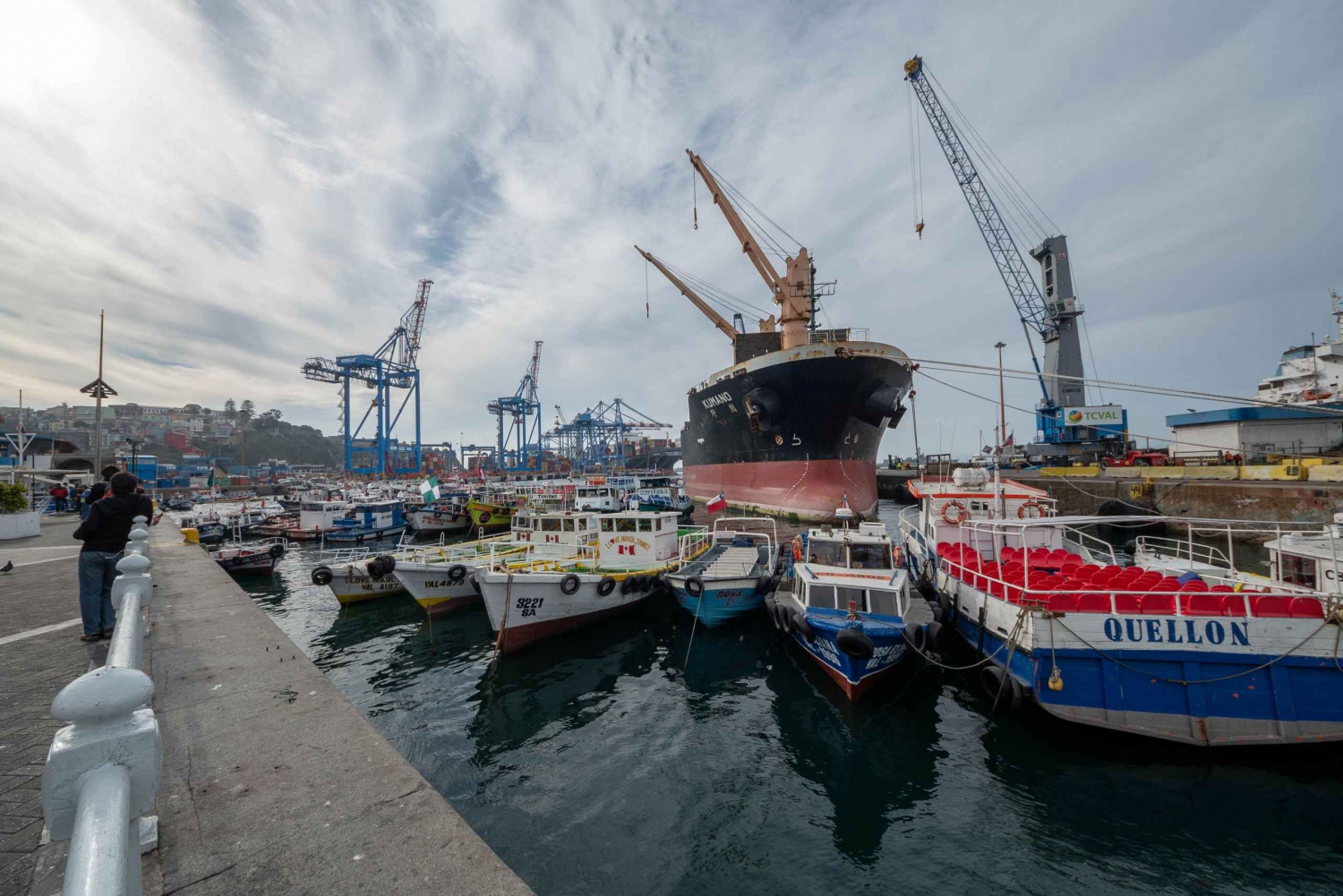 Viña del Mar y Valparaíso: tour guiado por el día