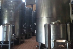 Private Weintour Viña Haras de Pirque Maipo-Tal