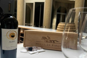 Private Weintour Viña Haras de Pirque Maipo-Tal