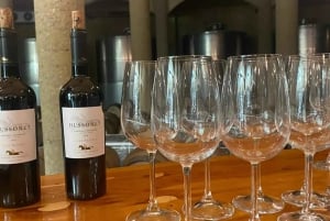 Private Weintour Viña Haras de Pirque Maipo-Tal