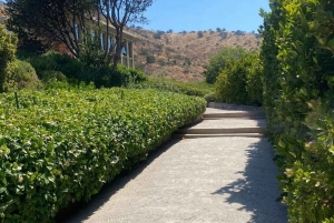 Private Weintour Viña Haras de Pirque Maipo-Tal