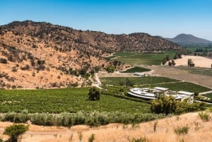 Private Weintour Viña Haras de Pirque Maipo-Tal