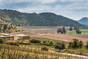 Private Weintour Viña Haras de Pirque Maipo-Tal