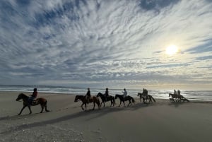 Vineyard, Valparaiso, Horseback Riding, Sea L & BBQ Day Trip