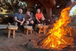 Vineyard, Valparaiso, Horseback Riding, Sea L & BBQ Day Trip