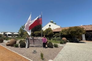 Vineyard, Valparaiso, Horseback Riding, Sea L & BBQ Day Trip