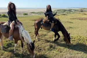 Vineyard, Valparaiso, Horseback Riding, Sea L & BBQ Day Trip