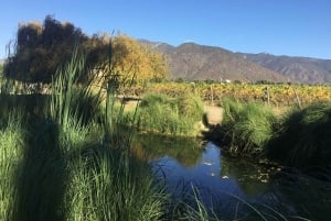 Vineyard, Valparaiso, Horseback Riding, Sea L & BBQ Day Trip