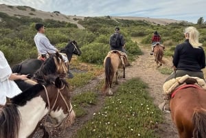Vineyard, Valparaiso, Horseback Riding, Sea L & BBQ Day Trip