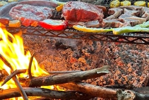 Vineyard, Valparaiso, Horseback Riding, Sea L & BBQ Day Trip