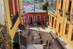 Vineyard, Valparaiso, Horseback Riding, Sea L & BBQ Day Trip