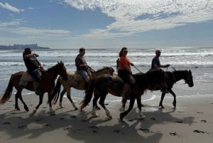 Viñedo, Valparaíso, paseo a caballo, mar y barbacoa (excursión de 1 día)