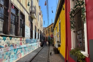 Viñedo, Valparaíso, paseo a caballo, mar y barbacoa (excursión de 1 día)