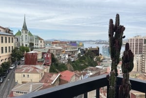 Viñedo, Valparaíso, paseo a caballo, mar y barbacoa (excursión de 1 día)