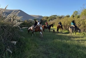 Viñedo, Valparaíso, paseo a caballo, mar y barbacoa (excursión de 1 día)