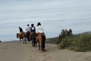 Viñedo, Valparaíso, paseo a caballo, mar y barbacoa (excursión de 1 día)