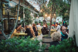 Best wine bars in Santiago de Chile