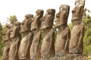 Refugios Volcánicos: Excursión a la Civilización Subterránea