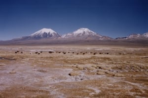 Volcano Nevados de Payachatas
