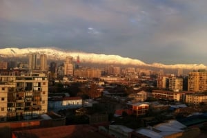 Welcome to Santiago: Private Tour with a Local
