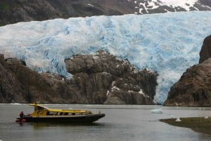Valaita, pingviinejä ja jäätiköitä Navigointi Punta Arenasista käsin