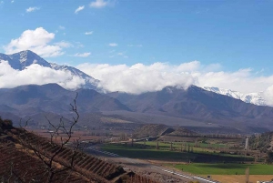 Wine in the Shadow of the Andes: Aconcagua Valley Wine Tour