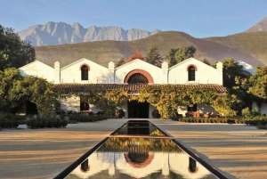 Wine in the Shadow of the Andes: Aconcagua Valley Wine Tour