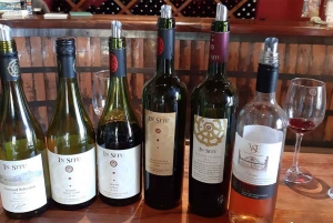 Wine in the Shadow of the Andes: Aconcagua Valley Wine Tour