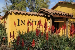 Wine in the Shadow of the Andes: Aconcagua Valley Wine Tour