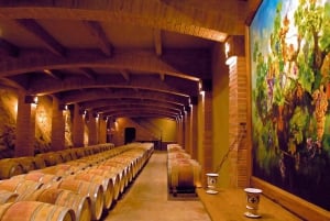 From Santiago: Private Wine Tour in the Colchagua Valley