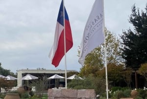 Casablanca Valley Private Wine Tour 3-Course Wine Pairing