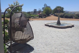 Casablanca Valley Private Wine Tour 3-Course Wine Pairing