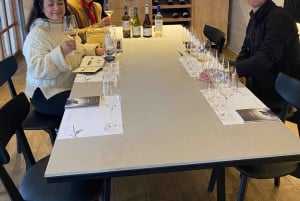 Casablanca Valley Private Wine Tour 3-Course Wine Pairing