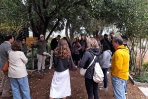 Casablanca Valley Private Wine Tour 3-Course Wine Pairing