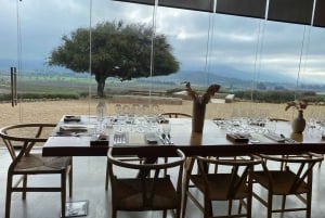 Casablanca Valley Private Wine Tour 3-Course Wine Pairing