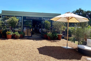 Casablanca Valley Private Wine Tour 3-Course Wine Pairing