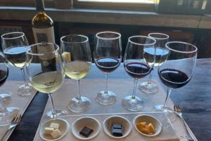 Casablanca Valley Private Wine Tour 3-Course Wine Pairing