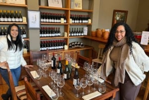 Casablanca Valley Private Wine Tour 3-Course Wine Pairing