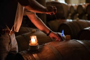 Privat vintur i Maipódalen