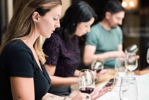 Privat vintur i Maipódalen