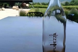 Private Weintour Ganzheitliches Erlebnis Viña Vik